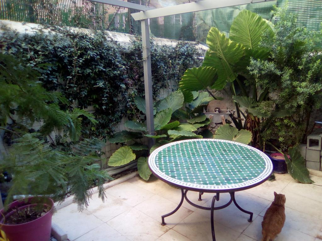 Chambres Et Table D'Hotes Le Jardin De Tesse ตูลง ภายนอก รูปภาพ